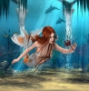 INTERRUPTEUR DECORE SIRENE