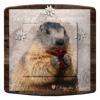 INTERRUPTEUR DECORE  MARMOTTE