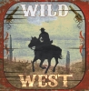 INTERRUPTEUR DECORE  WILD WEST