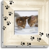 TABLEAU UNO 20X20  PATTES DE CHAT