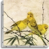 TABLEAU UNO 20X20  CANARIS