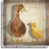 TABLEAU UNO 20X20  CANARDS