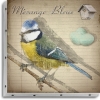 TABLEAU UNO 20X20 MESANGE BLEUE