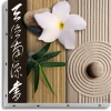 TABLEAU UNO 20X20 FLEUR ZEN