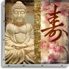 TABLEAU UNO 20X20 BOUDHA ZEN