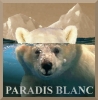 INTERRUPTEUR DECORE PARADIS BLANC