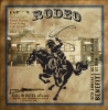 INTERRUPTEUR DECORE RODEO