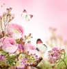 INTERRUPTEUR DECORE  PIVOINES ET PAPILLONS