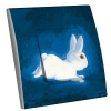 Interrupteur décoré Romain le Lapin