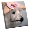 Interrupteur décoré Chien à Chapeau