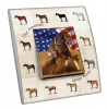 Interrupteur décoré  USA - Quater Horse