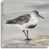 TABLEAU UNO 20X20 MOUETTE